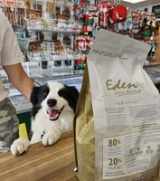 Eden Holistic Pet Food Stockist